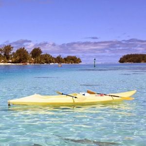 Meet your Posher, Elliot